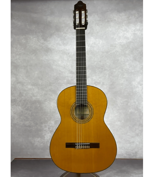 Miguel Rosales Solid top Flamenco Guitar C3F *40% OFF* + BONUS PACK